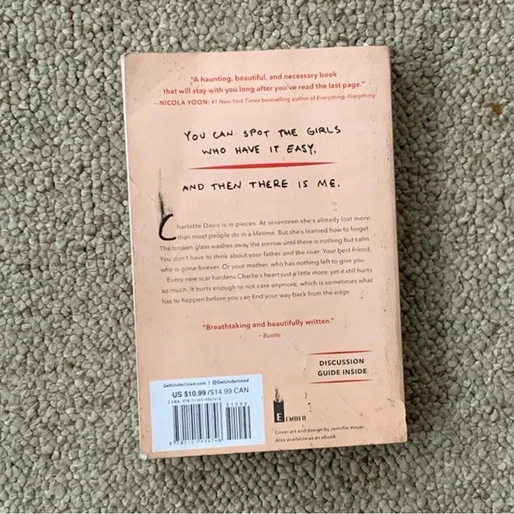 Girl in Pieces Book - Picture 4 of 4